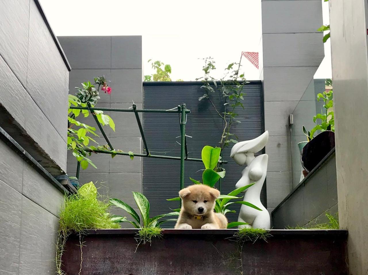 Greenwood Villa Saigon Ho Şi Min Dış mekan fotoğraf